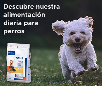 comida_perro comida_perro