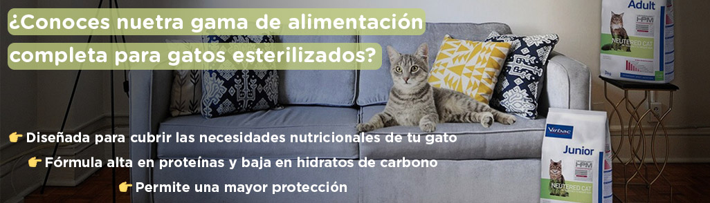 Dieta gatos castrados Dieta gatos castrados