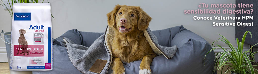 Pienso alta tolerancia digestiva Pienso alta tolerancia digestiva